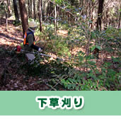 下草刈り